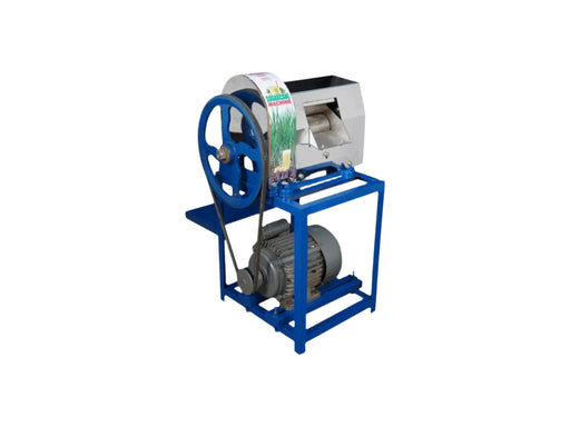 GT-300PLD sugarcane juicer – high-capacity commercial machine with stainless steel body for hygienic juice extraction.