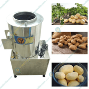 Commercial potato peeler with 10 kg drum, designed for efficient and hygienic peeling operations.
