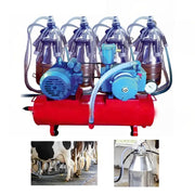 Cow milking machine with stainless steel milk can, transparent suction pipes, and dual teat cups – designed for hygienic and efficient milking in dairy farms.