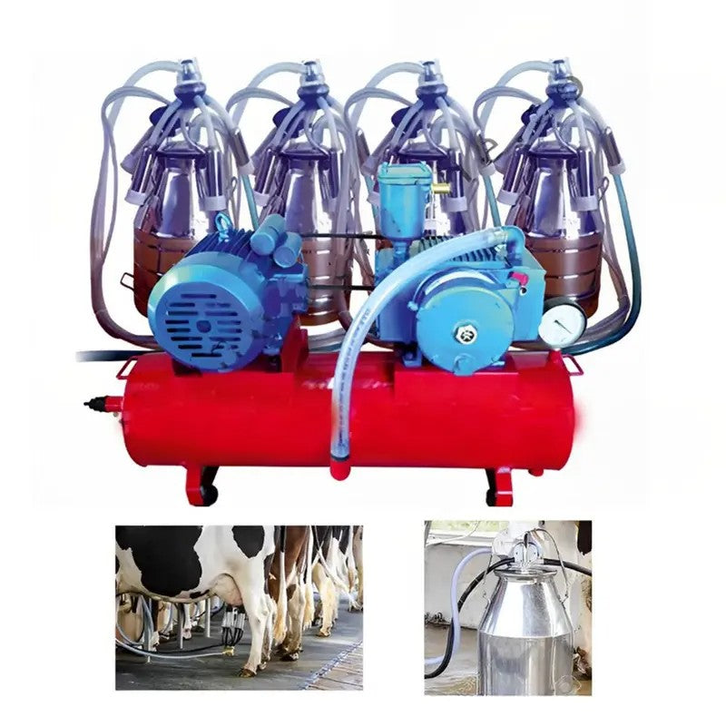Cow milking machine with stainless steel milk can, transparent suction pipes, and dual teat cups – designed for hygienic and efficient milking in dairy farms.