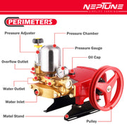 "Neptune HTP-30 GOLD Heavy-Duty Sprayer for Car and Bike Washing"