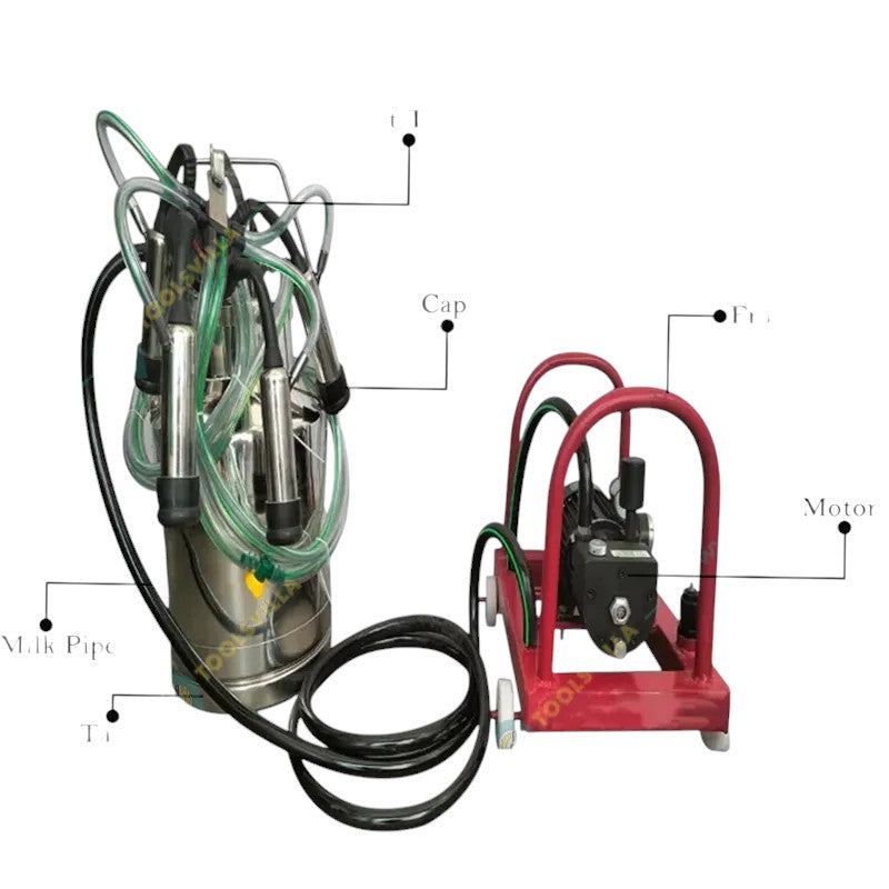 Commercial-grade milking machine with dual milking units and large capacity stainless steel container – suitable for milking cows and buffaloes in dairy setups.