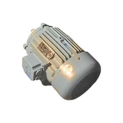 Crompton Greaves 1.5 kW ND 100L frame induction motor with IP55 protection – Machine Point