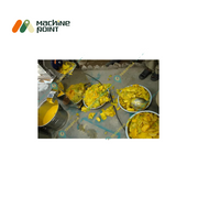 Mango Pulp Machine Medium – Stainless steel body with pulp extraction for commercial use.