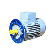 Durable Crompton Greaves 1.5 kW ND 90L frame flange mounted motor with IP55 protection – Machine Point