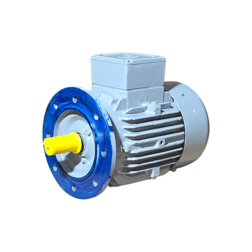 Durable Crompton Greaves 3 HP IE2 efficiency motor with flange mount – Machine Point