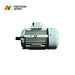 Durable Crompton Greaves 3.7 kW 5 HP motor for agriculture and food processing machinery