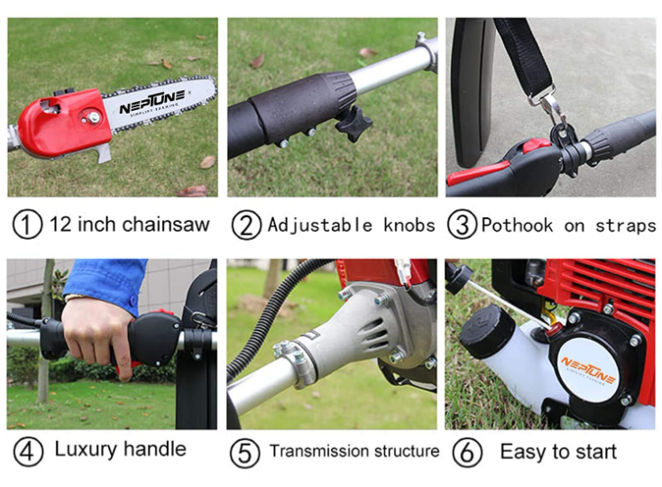 Neptune long-reach chainsaw for overhead branch cutting