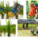 Double Rows Manual Rice Planter
2   Rows mini Manual Rice Planter
2 Rows mini paddy tranplanter

